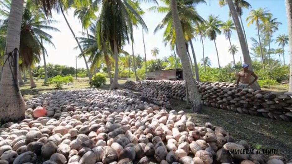 The story behind the polynesian coconut oil